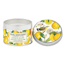 Michel Design Works Travel Candles