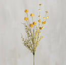 PBK Floral Picks - Buenz Gifts