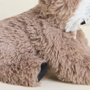 Raccoon Warmies Junior