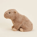 Capybara Warmies - Buenz Gifts