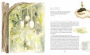 GraceLaced: Hardcover / English - Buenz Gifts