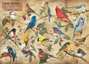 Popular Backyard Wild Birds of North America 1000pc puzzle - Buenz Gifts