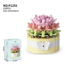 Succulents - Plant Legos - Buenz Gifts