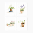 Potted plants notecard set - Buenz Gifts