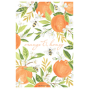 Fresh Scents | Orange & Honey Sachets | Summer Scent