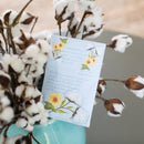 Fresh Scents | White Cotton Sachets | Clean, Laundry Scent