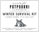 Winter Survival Kit Simmer Pot Potpourri