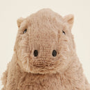 Capybara Warmies - Buenz Gifts