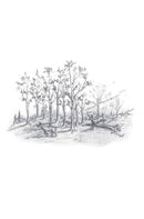 A Look at Life from a Deer Stand (Milano Softone): English - Buenz Gifts