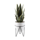 Faux Snake Plant in White Ceramic Pot with Metal Stand