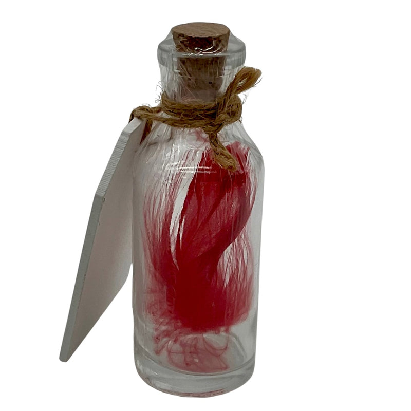 Cardinal Feather in a Jar