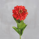 PBK Floral Picks - Buenz Gifts