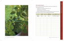 The Family Garden Plan: Paperback / English - Buenz Gifts