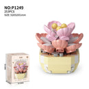 Succulents - Plant Legos - Buenz Gifts