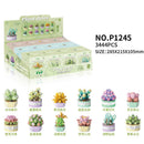 Succulents - Plant Legos - Buenz Gifts