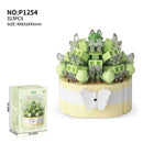 Succulents - Plant Legos - Buenz Gifts