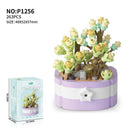 Succulents - Plant Legos - Buenz Gifts