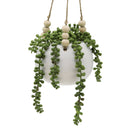 Hanging Faux String of Pearls in White Ceramic Pot